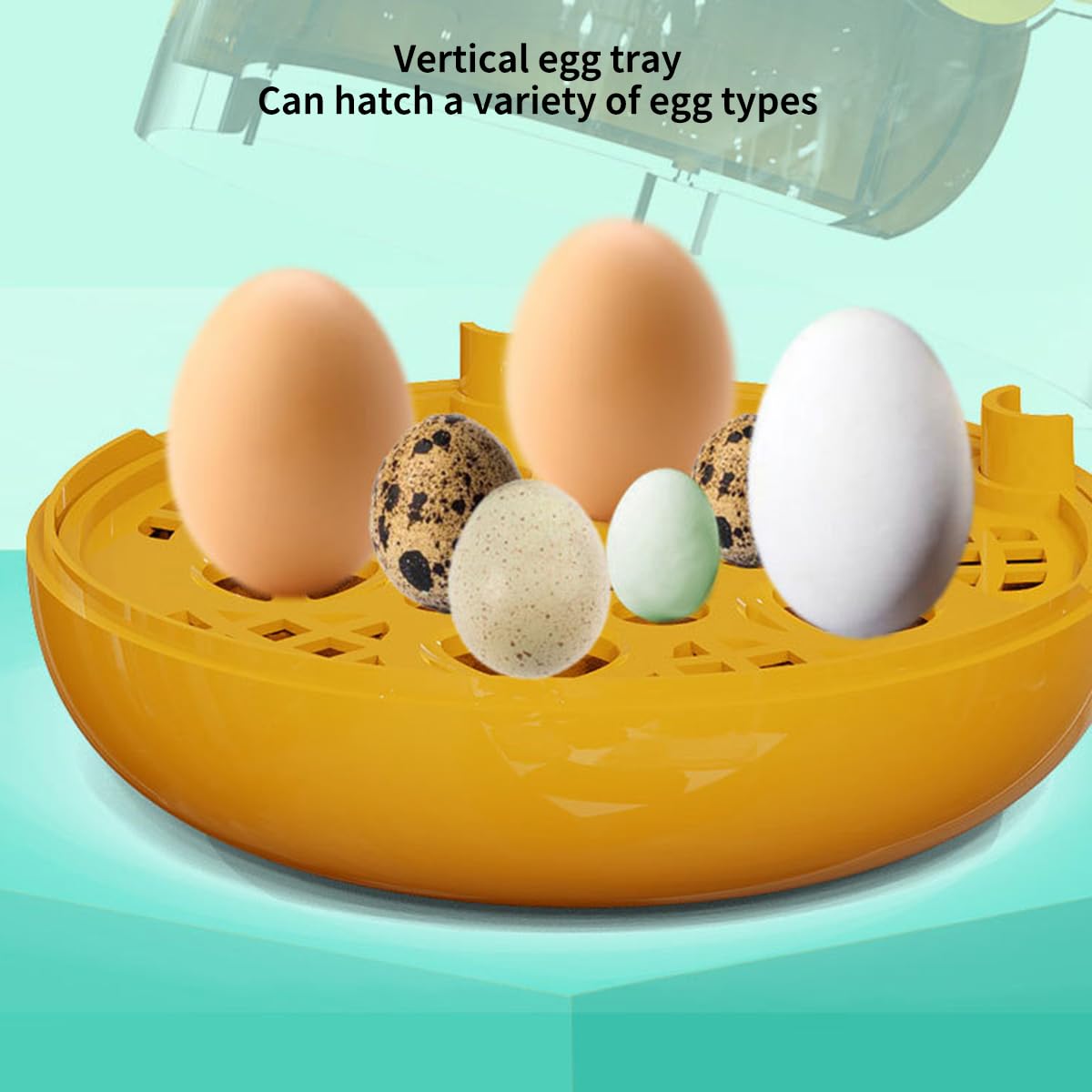 Amazon.co.jp: 自動孵卵器 インキュベーター 孵卵機 小型 ミニ